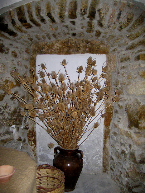 5_1454.jpg